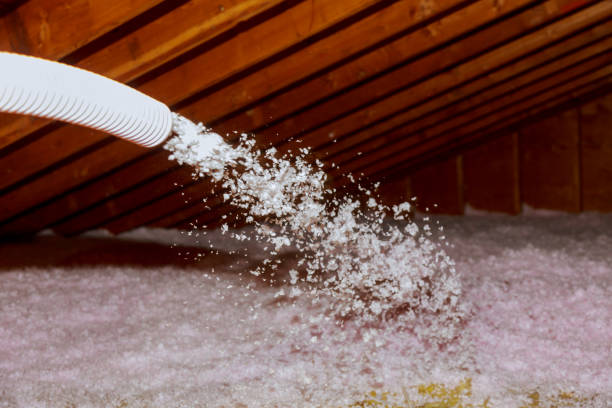 Range of Insulation Solutions in Newport, MN