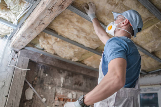 Professional Insulation Contractor in Newport, MN